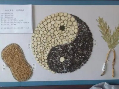 凸显"中"字特色 起步区扎实推进中医