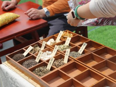 张江成立"红养谷"中医大健康基地