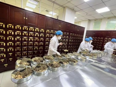 松原多举措推动中医药传承创新发展